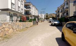 Bodrum'da ot temizliği çalışmaları Haziran ayı boyunca aralıksız sürdü