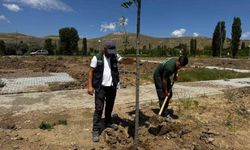 Büyükşehir'den Şahruh Köprüsü yanına dev etkinlik alanı