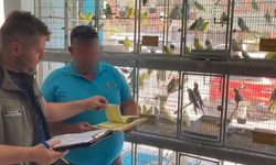 Çanakkale'de petshop denetimi