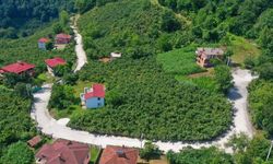 Çaybaşı'nda grup yolu betonla buluşturuluyor