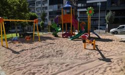 Çocuk parklarında zeytin çekirdeği dönemi