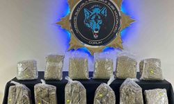 Çorum'da 9 kilo skunk ele geçirildi: 1 tutuklama