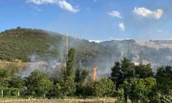 Çorum'da orman yangını