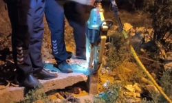 Demir borunun içinde ölümü bekleyen kirpi 1 saatlik operasyonla kurtarıldı