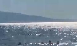 Denizde dubaların dışına çıkan baba ve iki kızı ölüm tehlikesi atlattı