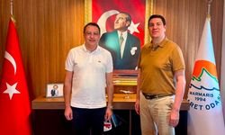 Denizden turist akını Marmaris'te kruvaziyer bereketi yaşanıyor