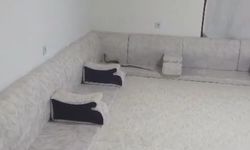 Derecik'te misafir bekleyen ailenin evine yılan girdi