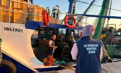 Didim'de uluslararası sularda avlanan trol teknelerine denetim