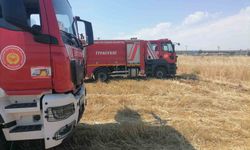 Diyarbakır'da anız yangınlarına itfaiye ekiplerinden müdahale