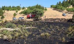 Diyarbakır'da yüksek gerilim hattına çarpan kuş yangına neden oldu