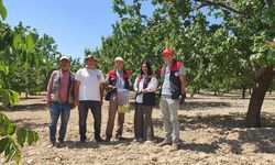 Elazığ'da bitkisel üretim alanlarında pestisit kalıntısı denetimleri