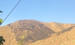 Elazığ'da dağlık alanda çıkan yangın söndürüldü