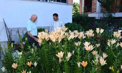 Emekliliğini renk renk çiçek bahçesine dönüştürdü