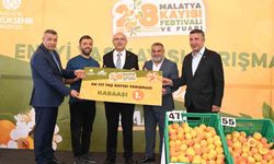 'En İyi Kayısı' yarışması düzenlendi
