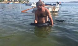 Erdek'te karaya vuran yavru yunus seferberliği