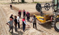 Erzincan'da buğday hasadı sürüyor, biçerdöverler denetlendi