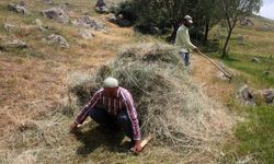 Erzincan'da vatandaşların kış hazırlığı