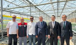Eskişehir Valisi Dr. Erdinç Yılmaz, Sarıcakaya'daki fide tesisini ziyaret etti