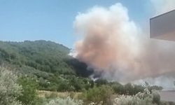 Fethiye'de orman yangını