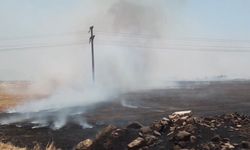 Gaziantep'teki anız yangınıyla ilgili 3 kişi gözaltına alındı