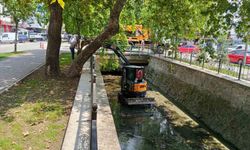 Gemlik Çarşı Deresi'nde temizlik çalışmaları başladı
