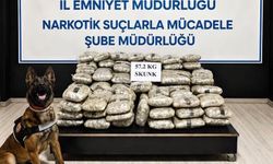 Hakkari'de 57 kilo 200 gram skunk ele geçirildi