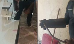 Hakkari'de eve giren yılan paniğe neden oldu