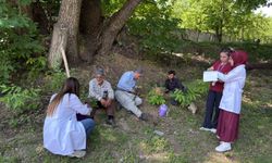 Hakkari'de kanser taraması