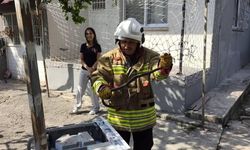 Hassa ve Erzin'de yerleşim alanlarına giren yılanları itfaiye yakaladı