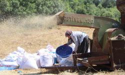 Hataylı çiftçilerin kavurucu sıcakta tozlu mesaisi sürüyor