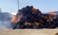 Iğdır'da ot balyaları alevlere teslim oldu