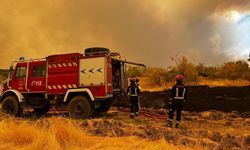 İspanya'daki orman yangınlarında 25 bin hektarlık alan kül oldu