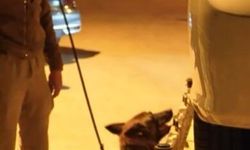 Isparta'da 25 aranan şahıs yakalandı