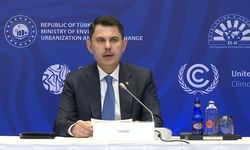 İstanbul D-8 Çevre Bakanları deklarasyonu oy birliği ile kabul edildi