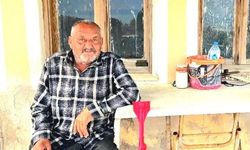 İzmir'de ayı saldırısına uğrayan yaşlı adam hayatını kaybetti