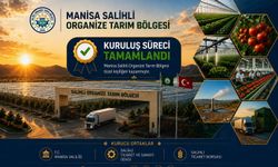 Jeotermal seracılıkta Manisa atağa geçti