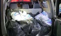 Kaçak toplanan 150 kilo kara kıllı midye denize geri bırakıldı