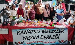 Kanatsız Melekler festivale renk kattı