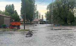 Kars'ta selin ortasında mahsur kalan yaşlı çift kurtarıldı