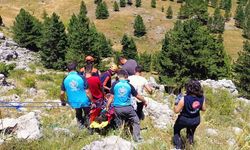 Kayalıklardan düşen şahıs ambulans helikopterle hastaneye sevk edildi