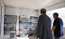 Kaymakam Helvacı'dan hayvan bakımevinde yerinde inceleme