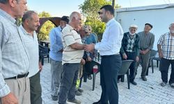 Kaymakam Kılıç, yangın bölgesinde incelemede bulundu