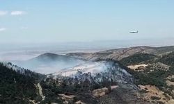 Kepsut'ta yangınla mücadele sürüyor