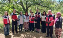 Kütahya'da organik tarım ve iyi tarım projeleri masaya yatırıldı