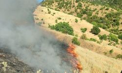 Malatya'da orman yangını