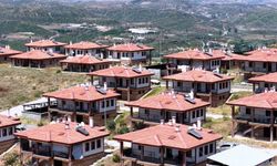 Manavgat yangınının üzerinden 5 yıl geçti