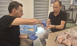 Manisa'da gıda güvenliği için denetimler aralıksız sürüyor