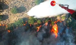 Menemen'deki yangına havadan 6 uçakla müdahale