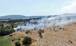 Menteşe'deki makilik yangını kontrol altına alındı