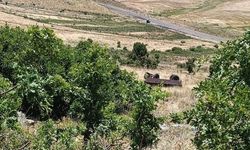 Muş'ta piknik yolunda facia: 1 ölü, 23 yaralı